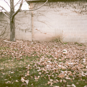 Would You Recognize My Skull?