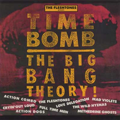 Cryin' Out Loud: The Fleshtones Present: Time Bomb The Big Bang Theory!