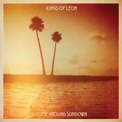 The Immortals by Kings Of Leon