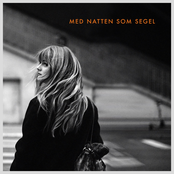 Med natten som segel