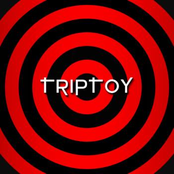 Triptoy