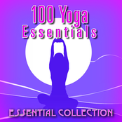 100 Yoga Essentials