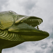 The Brightest Silver Fish