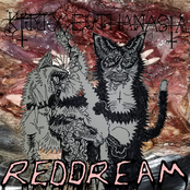 REDDREAM
