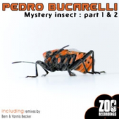 Mystery Insect Part 1&2