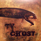 The Recluse by Tv Ghost