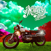 Triumph Of Disintegration by Of Montreal