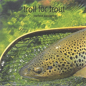 Troll for Trout: Perfect Existence