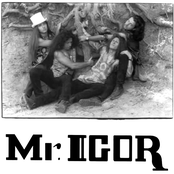 Mr. Igor