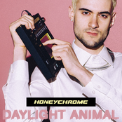 Daylight Animal