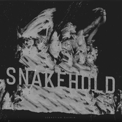 Sebastian Gaskin: Snakehold