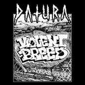 VIOLENT BREED