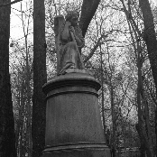 Stillness in November