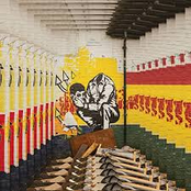 Serotonin: Reluctances