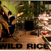 Wild Rice