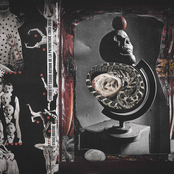 Etudes et essais autour de la pathostase (2013-2018)