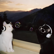 the perfect pair but it's drill