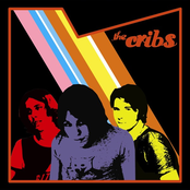 The Cribs: The Cribs