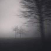Unwilling Suspension of Disbelief