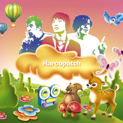 harcopatch