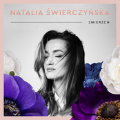 Zmierzch