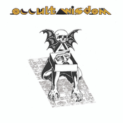 Occult Wisdom