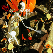 Flowers Bloom In A Dark Room