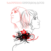 Destroy Everything You Touch (Album Version) by Ladytron