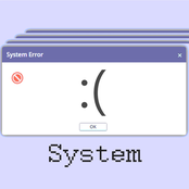 System