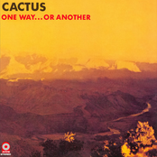 Rockout, Whatever You Feel Like by Cactus