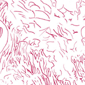 Tom Skinner: Bishara