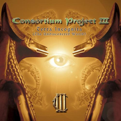 consortium project iii