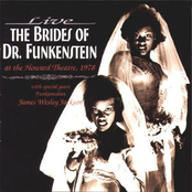 Brides Maids by The Brides Of Funkenstein