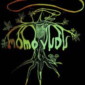 momovudu: momovudu
