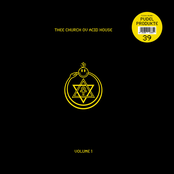 Thee Church Ov Acid House (Volume 1)