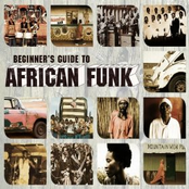 Beginner's Guide To African Funk
