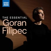The Essential Goran Filipec