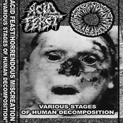 ACID FEAST SPLIT TAPE