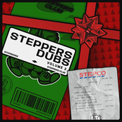 Steppers Dubs Volume 2