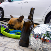 Smithy's Anime Intro