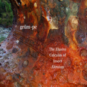 The Elusive Calculus of Insect Altruism