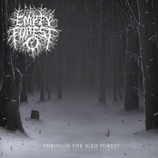 Through The Iced Forest