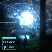 Tynan: Stay