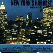 New York's Hardest 3