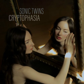 Cryptophasia