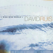 Anything For This Love by David Ruis