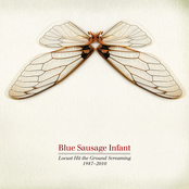 Locust Hit The Ground Screaming: 1987-2010