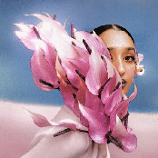 Where the Butterflies Go in the Rain