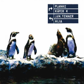 Planke/Käfer K/Jan.Tenner/Alia - Split