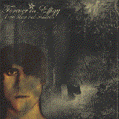 From Sleep And Shadows